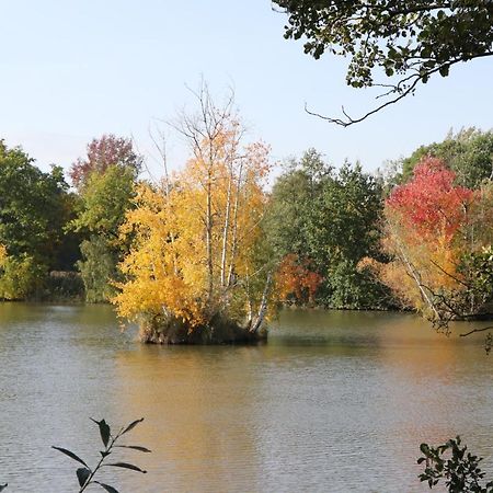 Ferienhaus "Ullersdorfer Teiche" Ullersdorf  ภายนอก รูปภาพ