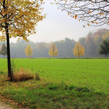 Ferienhaus "Ullersdorfer Teiche" Ullersdorf  ภายนอก รูปภาพ