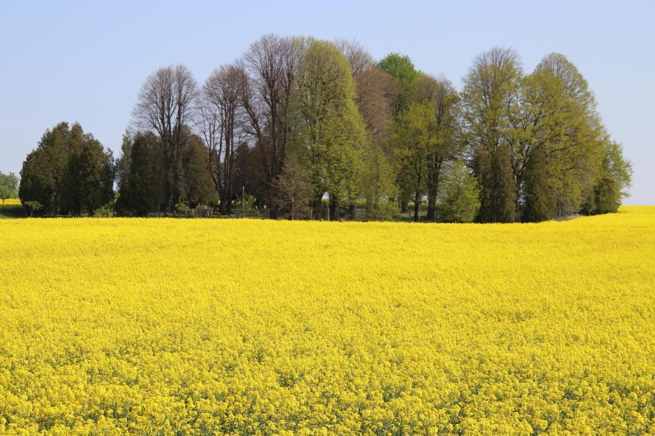 Ferienhaus "Ullersdorfer Teiche" Ullersdorf  ภายนอก รูปภาพ